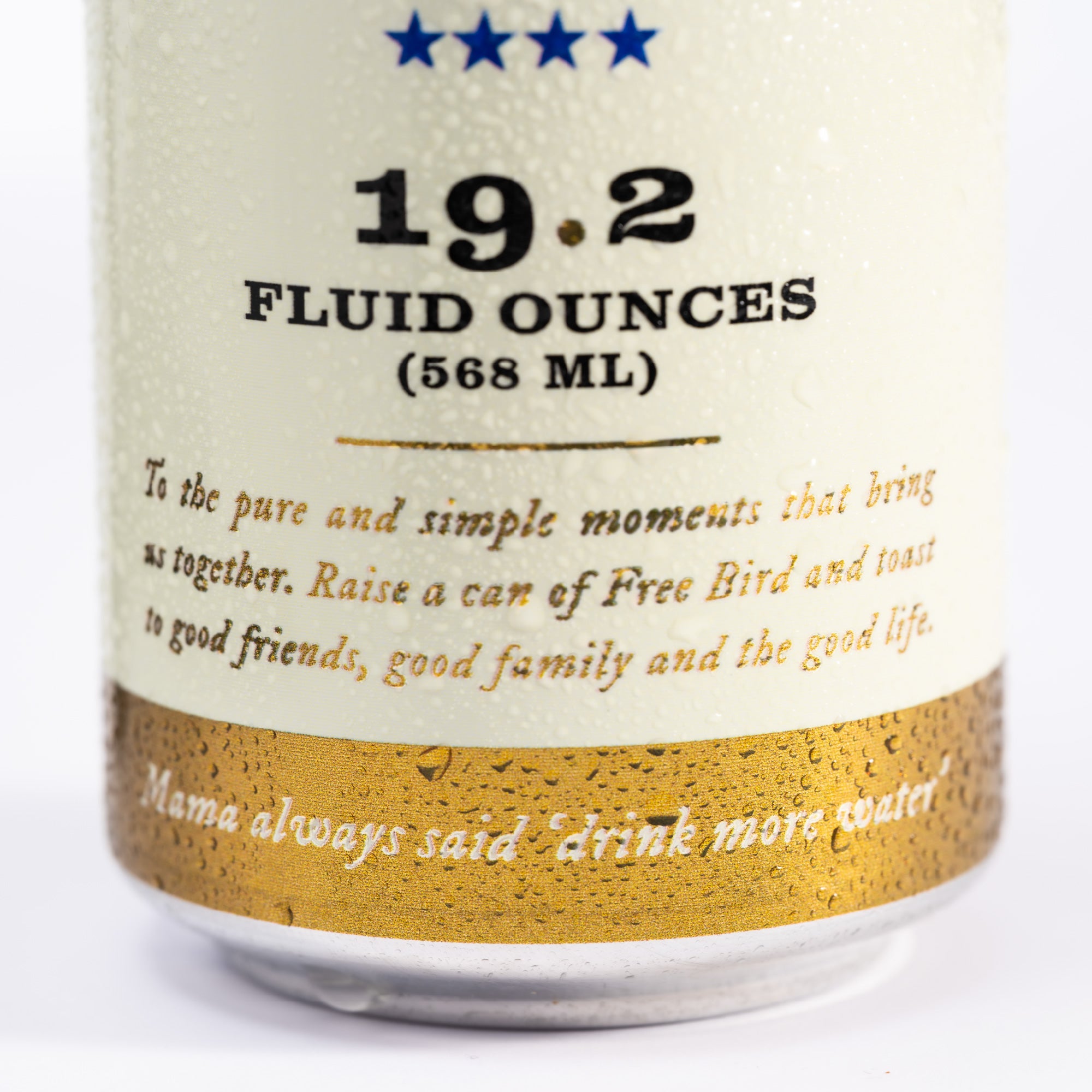 12-Pack Southern SPARKLING Spring Water