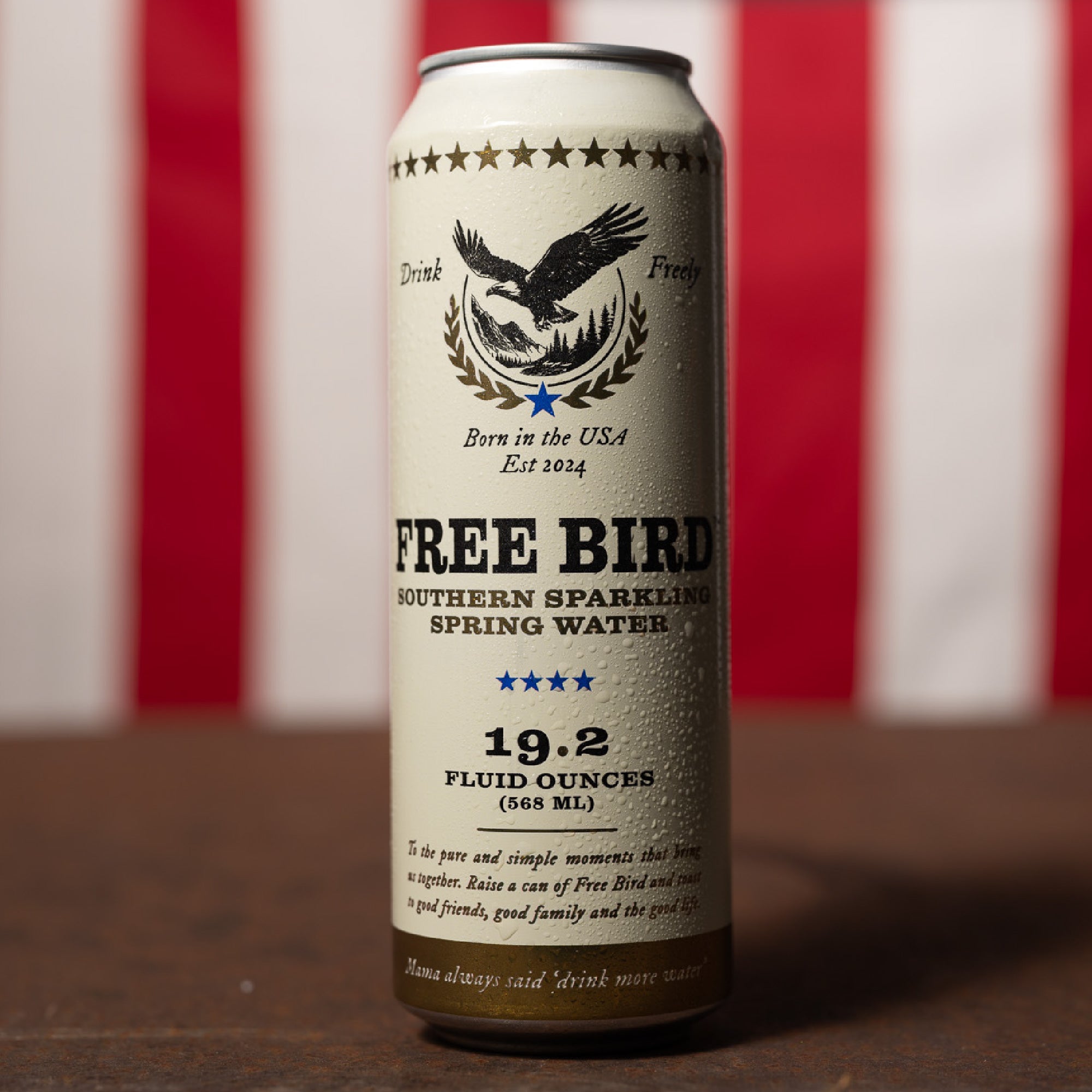 12-Pack Southern SPARKLING Spring Water