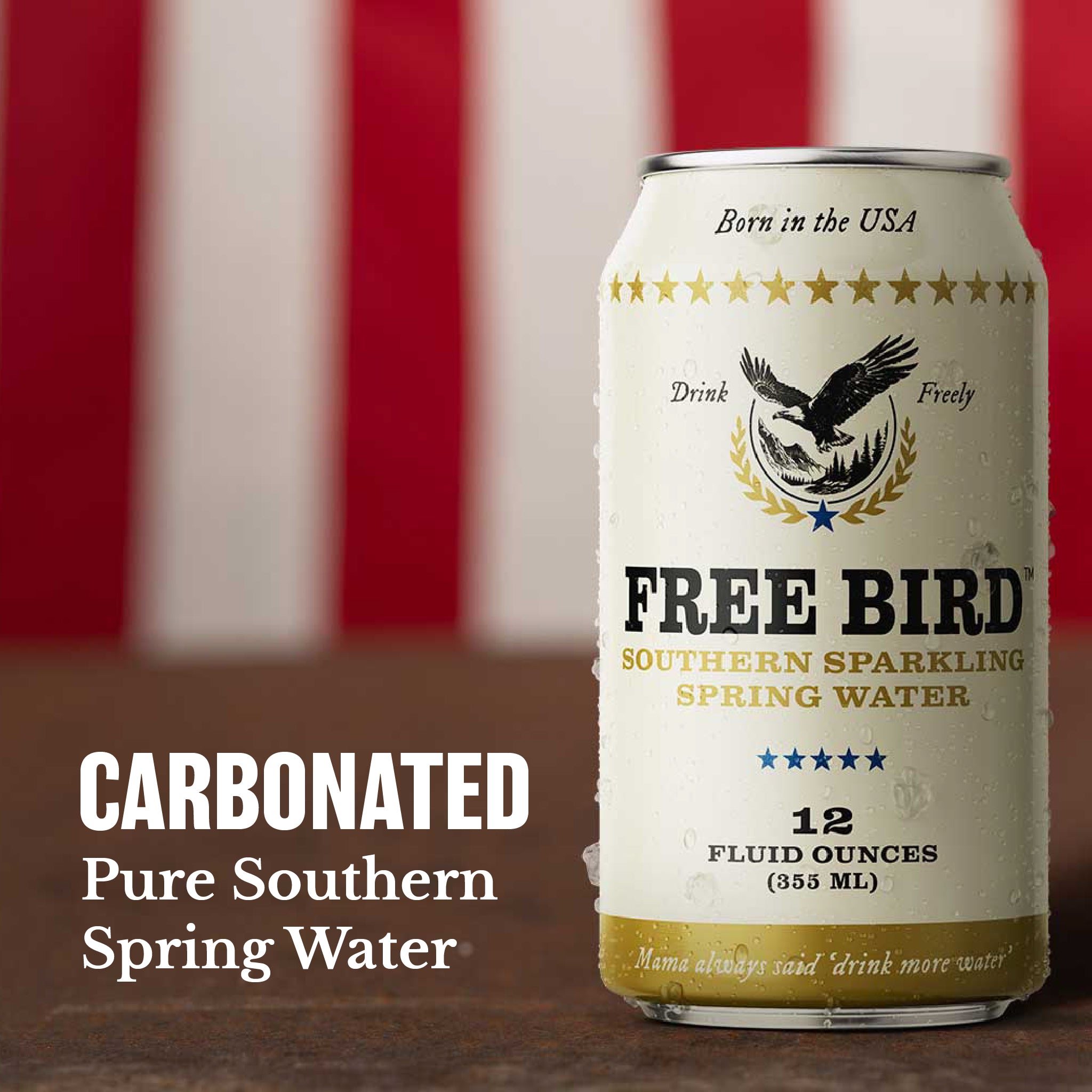 12oz 12-Pack Southern SPARKLING Spring Water