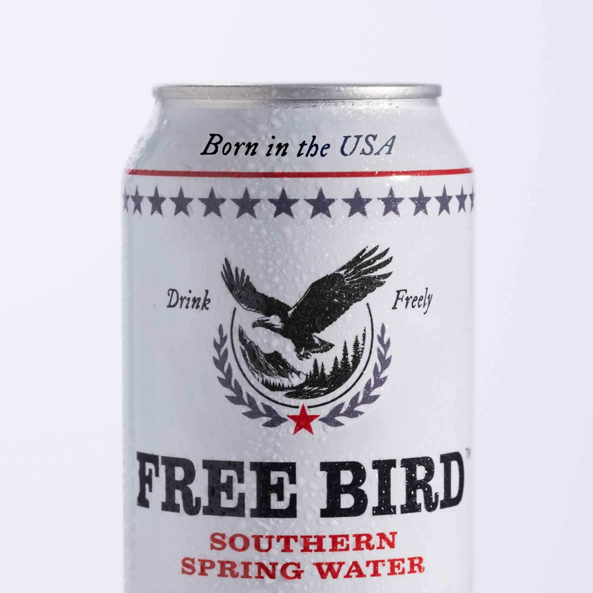 12oz 12-Pack Southern STILL Spring Water