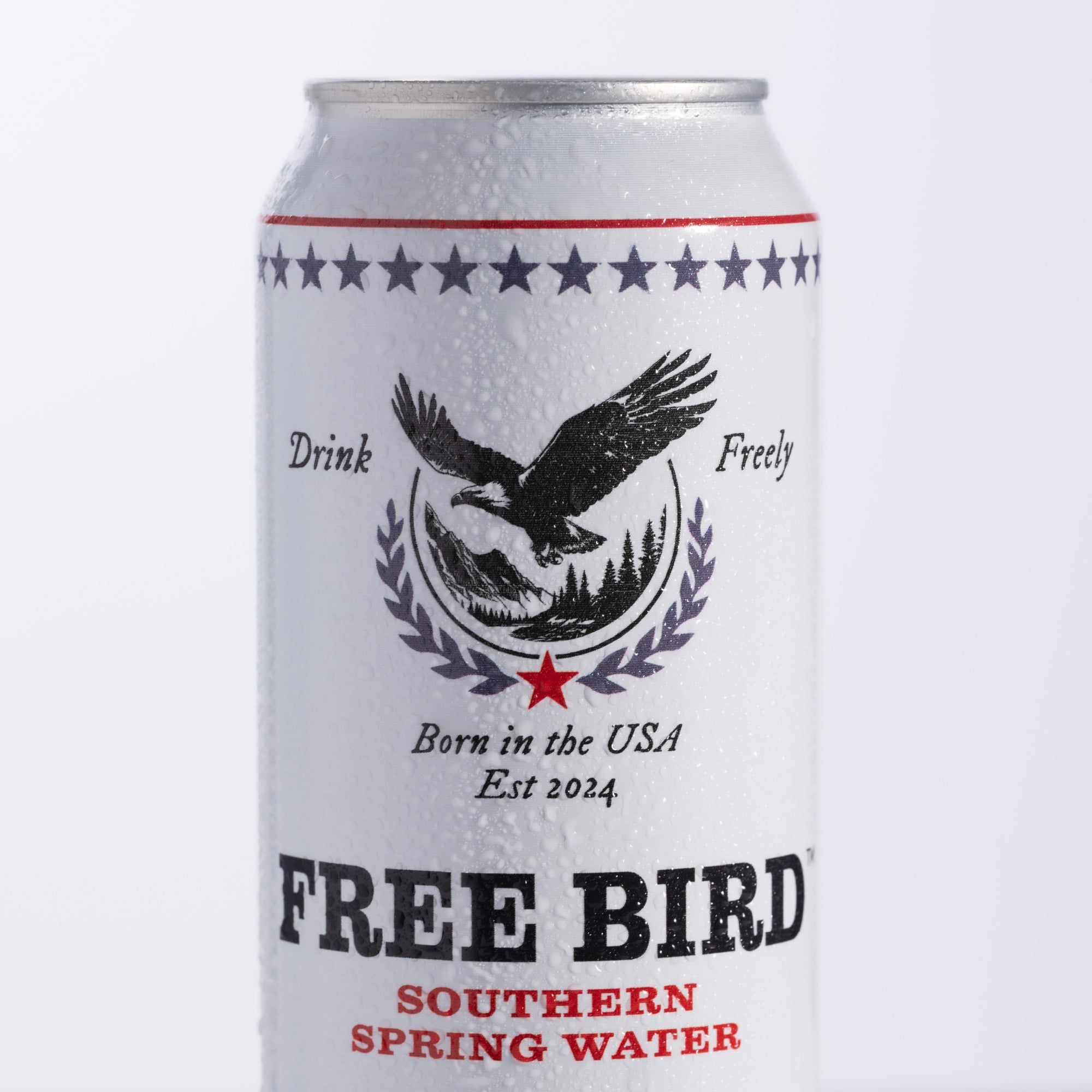 12-Pack Southern STILL Spring Water