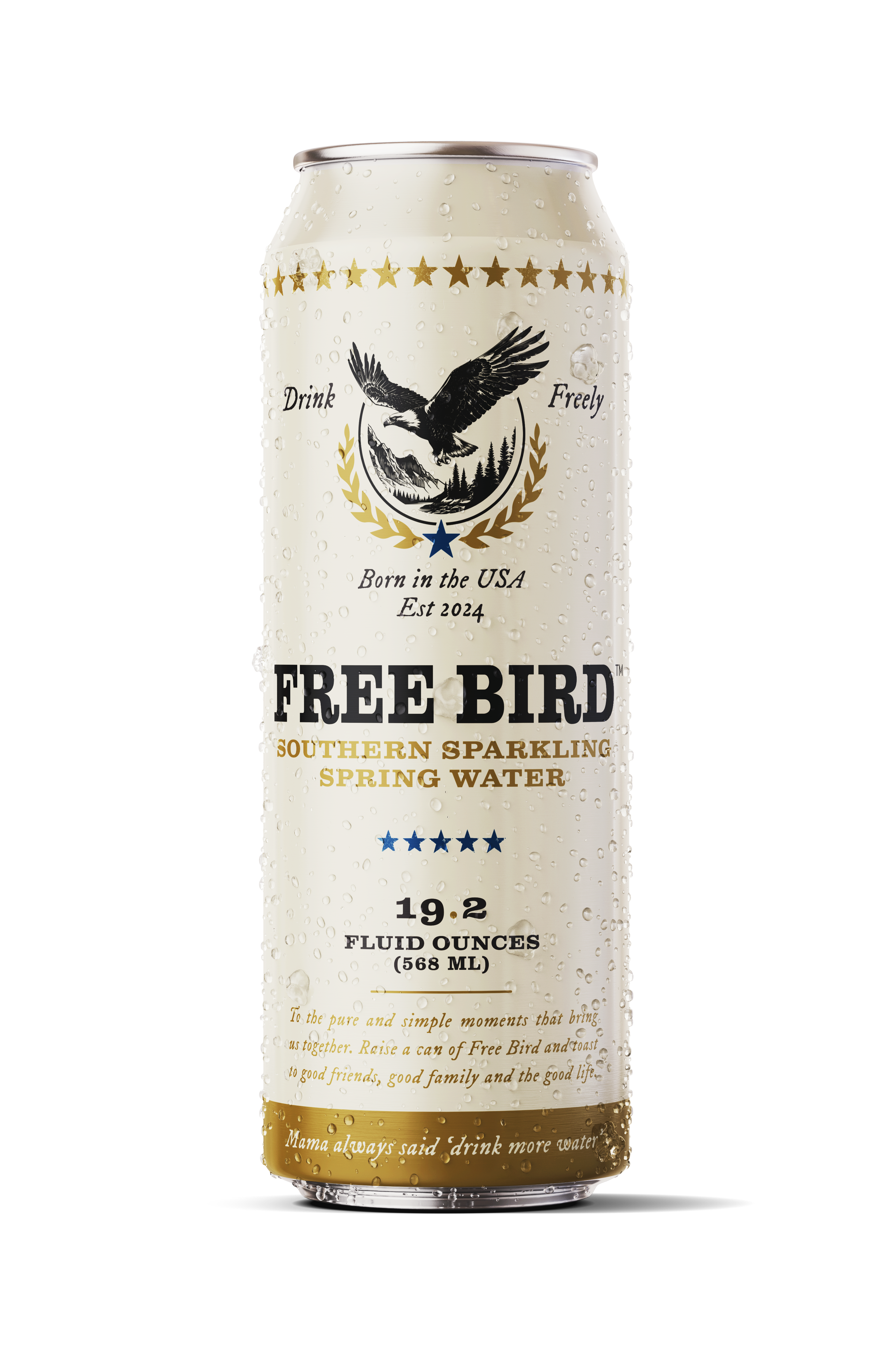 12-Pack Southern SPARKLING Spring Water