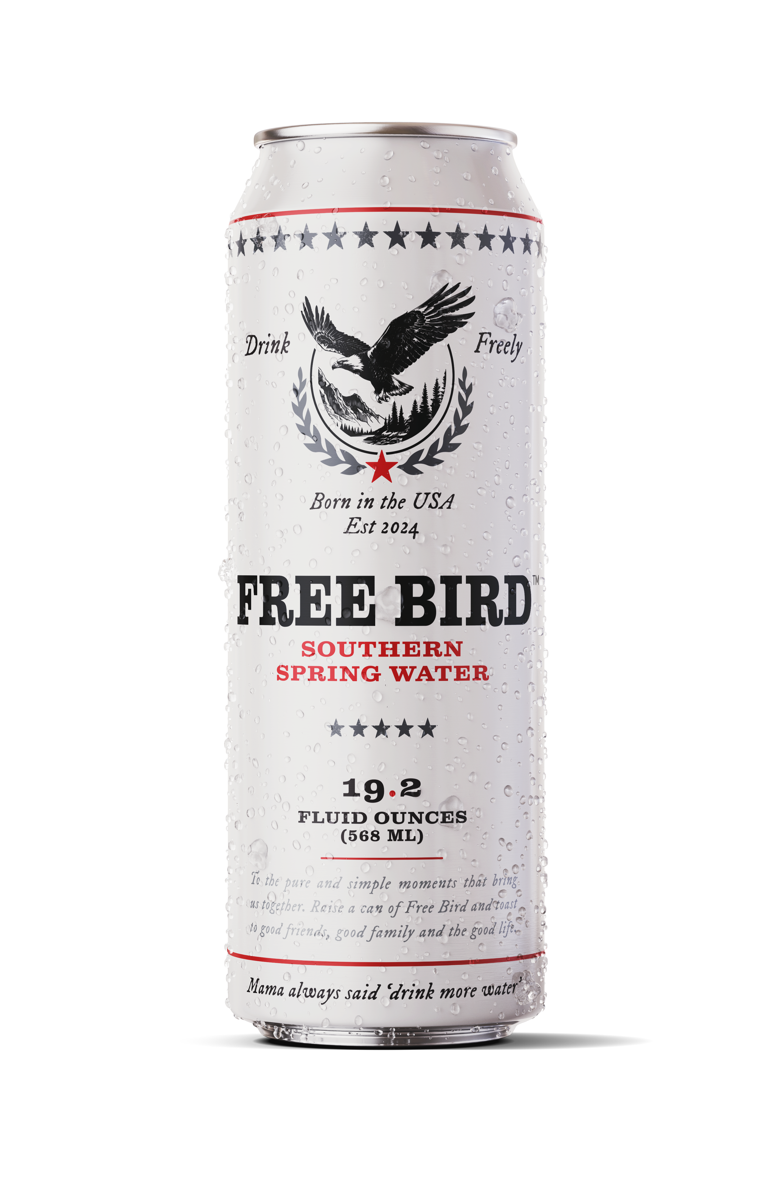 12-Pack Southern STILL Spring Water